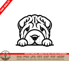 Shar Peis Watchful Eyes SVG PNG JPG AI PDF DXF EPS and WebP Digital Download 

