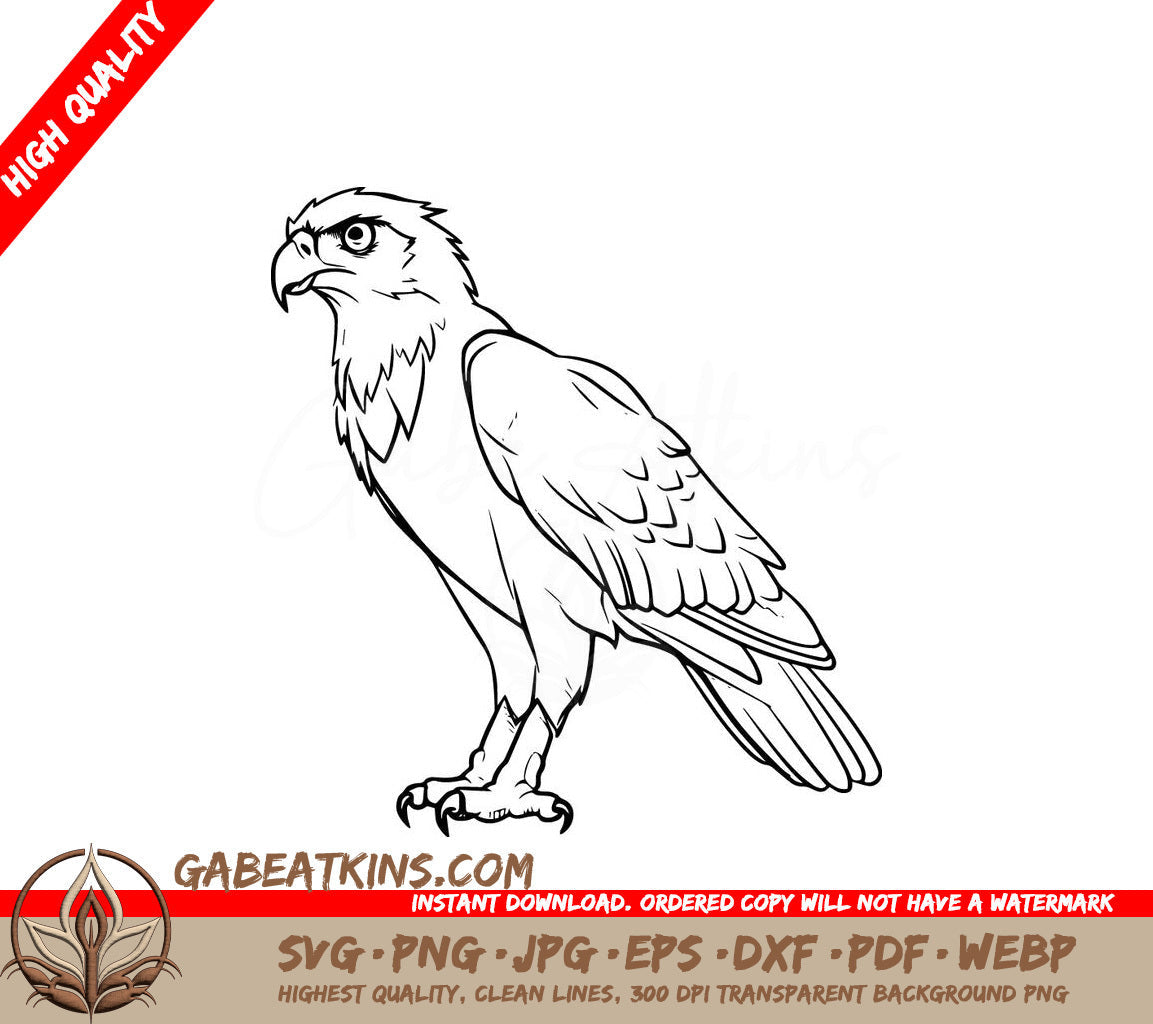  An Eagle On A White Background SVG - Sharp-eyed Hunting Hawk SVG