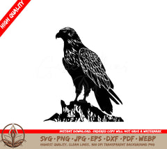 Solitary Eagle: Digital Design in Multiple File Formats (SVG, PNG, JPG, AI, PDF, DXF, EPS, WebP) 
