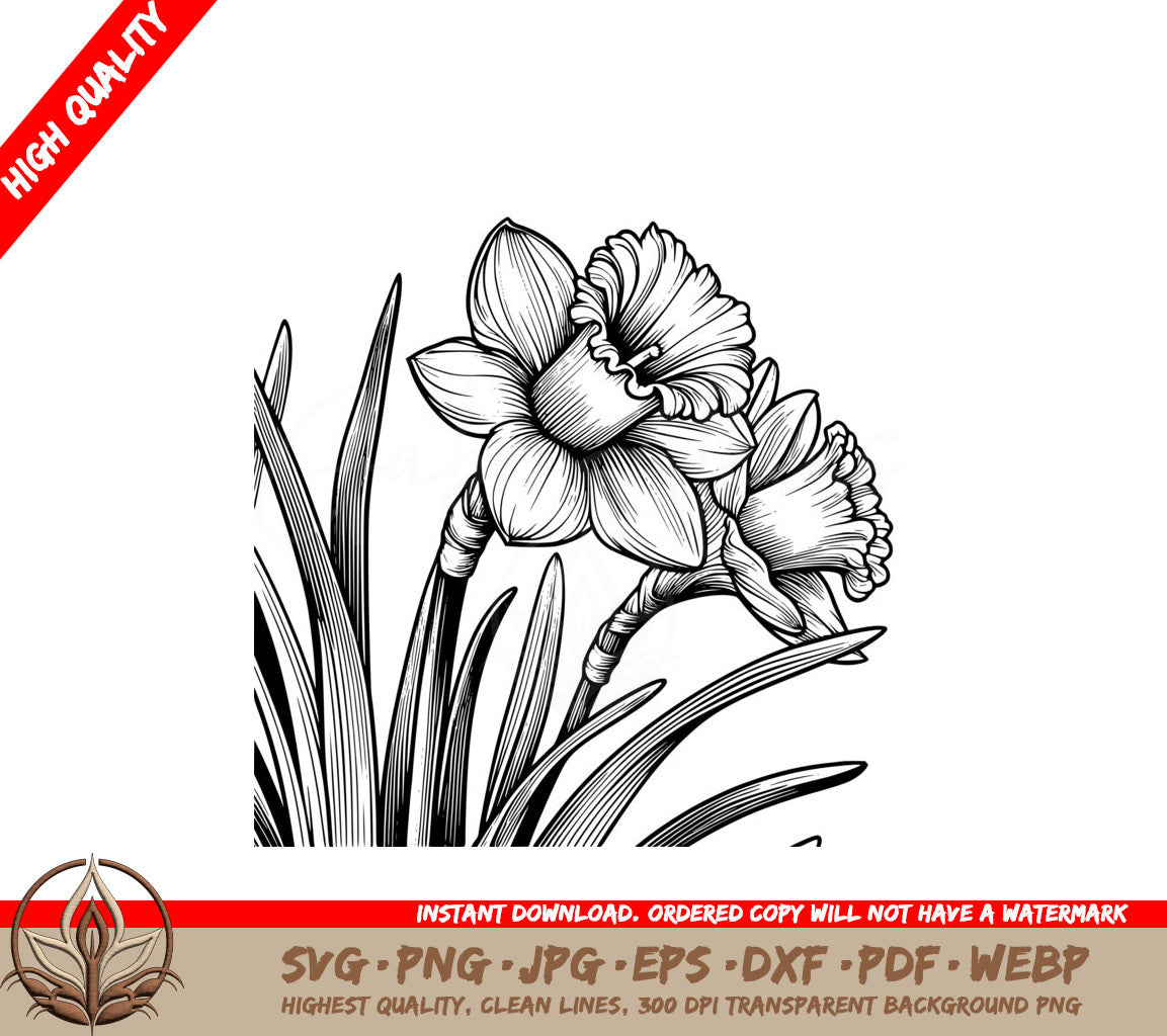 Spring Daffodil Duo SVG PNG JPG AI PDF DXF EPS and WebP Digital Download 
