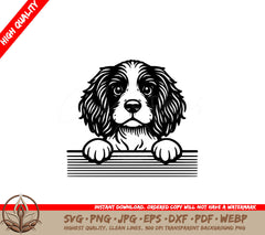 Springer Spaniel Peeking SVG PNG JPG AI PDF DXF EPS and WebP Digital Download 
