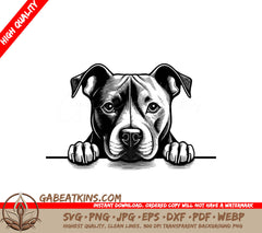  Pit Bull Looking Over Wall SVG - Staffordshire Bull Terrier SVG