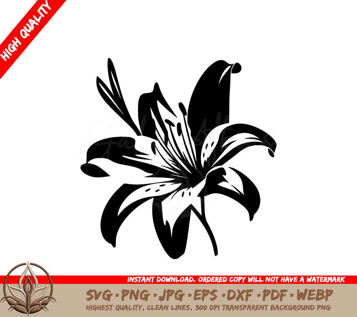 Star Gazer Lily Digital Design - SVG, PNG, JPG, AI, PDF, DXF, EPS and WebP File Formats 
