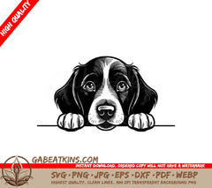  Springer Spaniel Peeking Over Wall SVG - Sussex Spaniel SVG