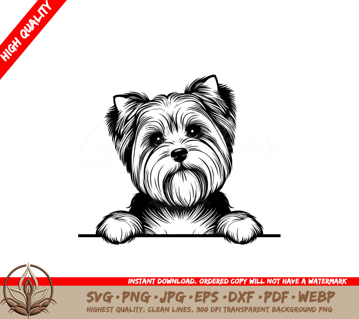 Sweet Biewer Terrier Stare SVG PNG JPG AI PDF DXF EPS WebP Digital Download 
