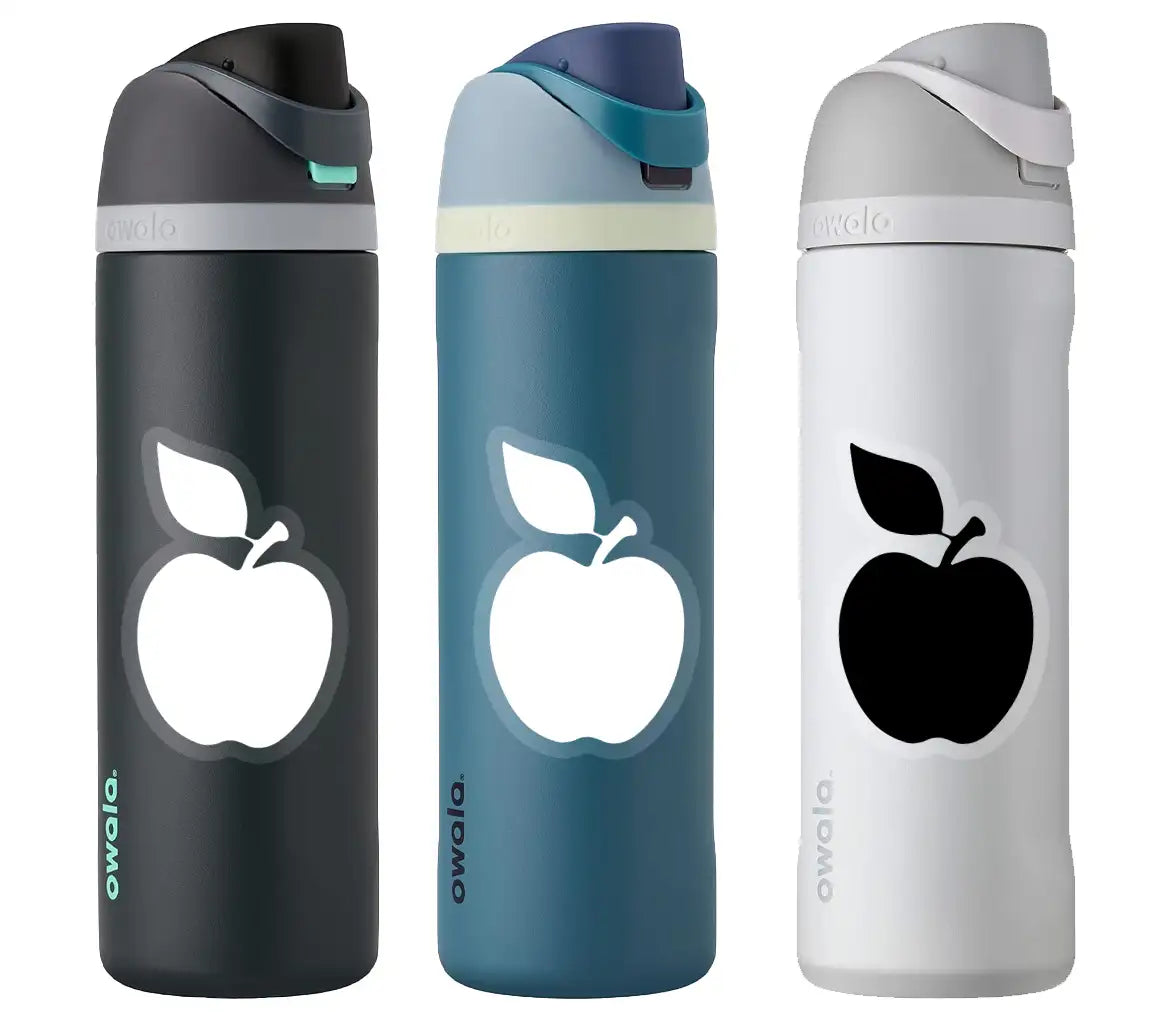 Red Apple Teacher Life SVG SVG