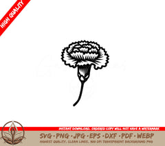 Timeless Carnation Bloom SVG PNG JPG AI PDF DXF EPS and WebP Digital Download 
