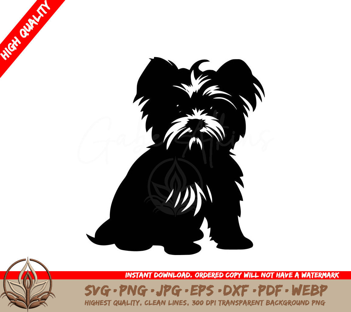 Tiny Morkie Treasure Digital Artwork in SVG, PNG, JPG, AI, PDF, DXF, EPS and WebP Formats 
