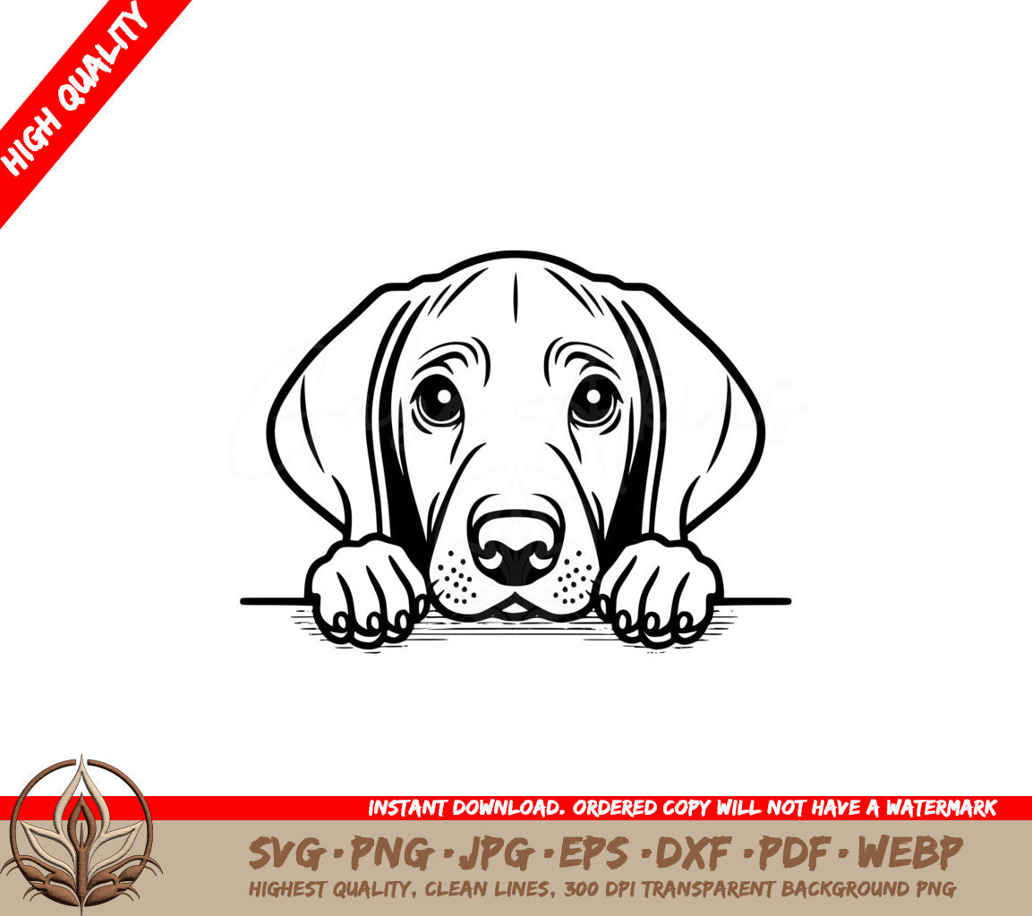 Weimaraner Peeking SVG - Digital Download 
