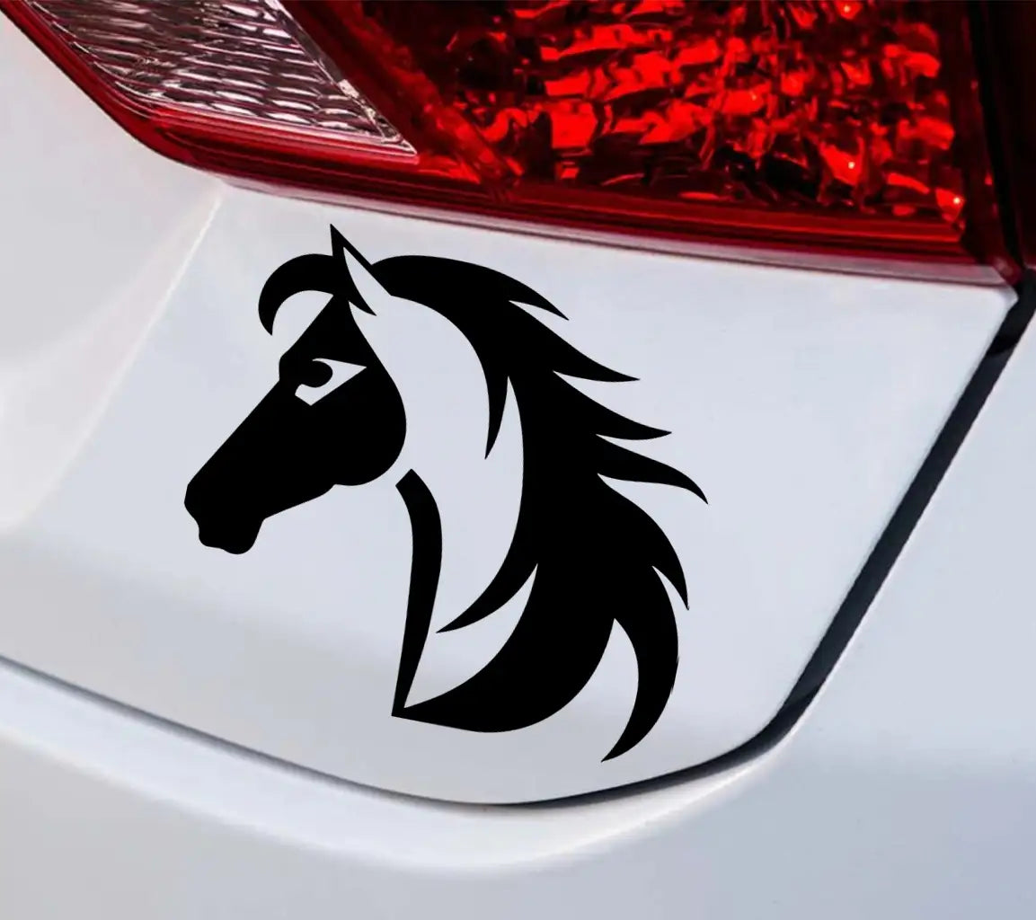 A Black And White Horse With A Black Mane And Tail