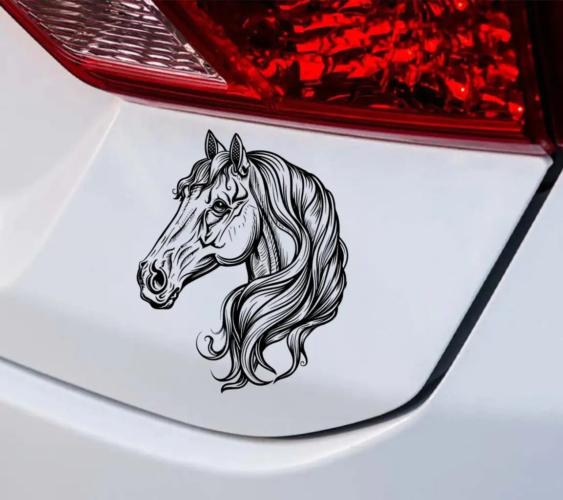 A Drawing Of A Horse With A Long Mane And Long Mane