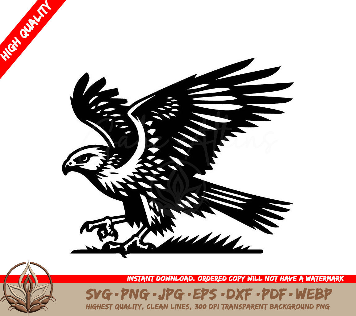 Harrier Eagle Vector Art Illustration SVG 